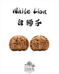 WALNUTVERSE™ #0001 White Lion