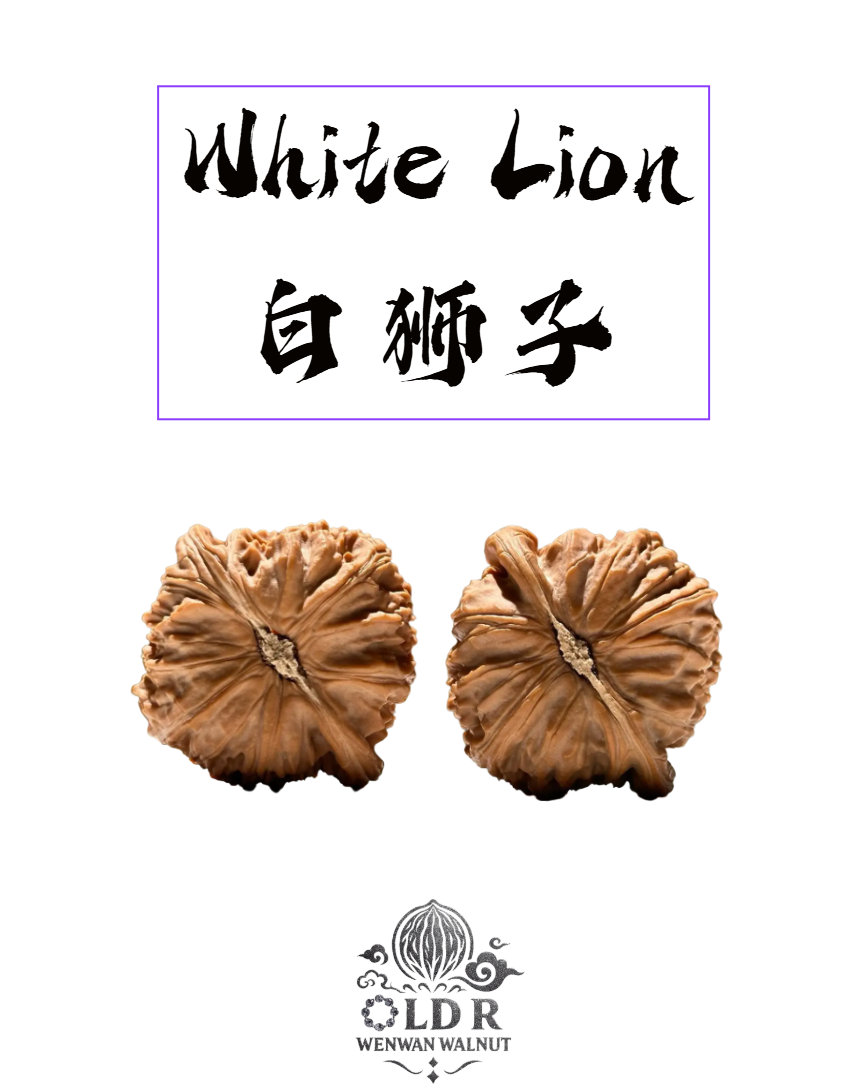 WALNUTVERSE™ #0001 White Lion