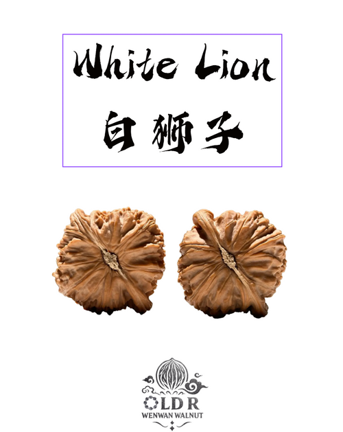 WALNUTVERSE™ #0001 White Lion