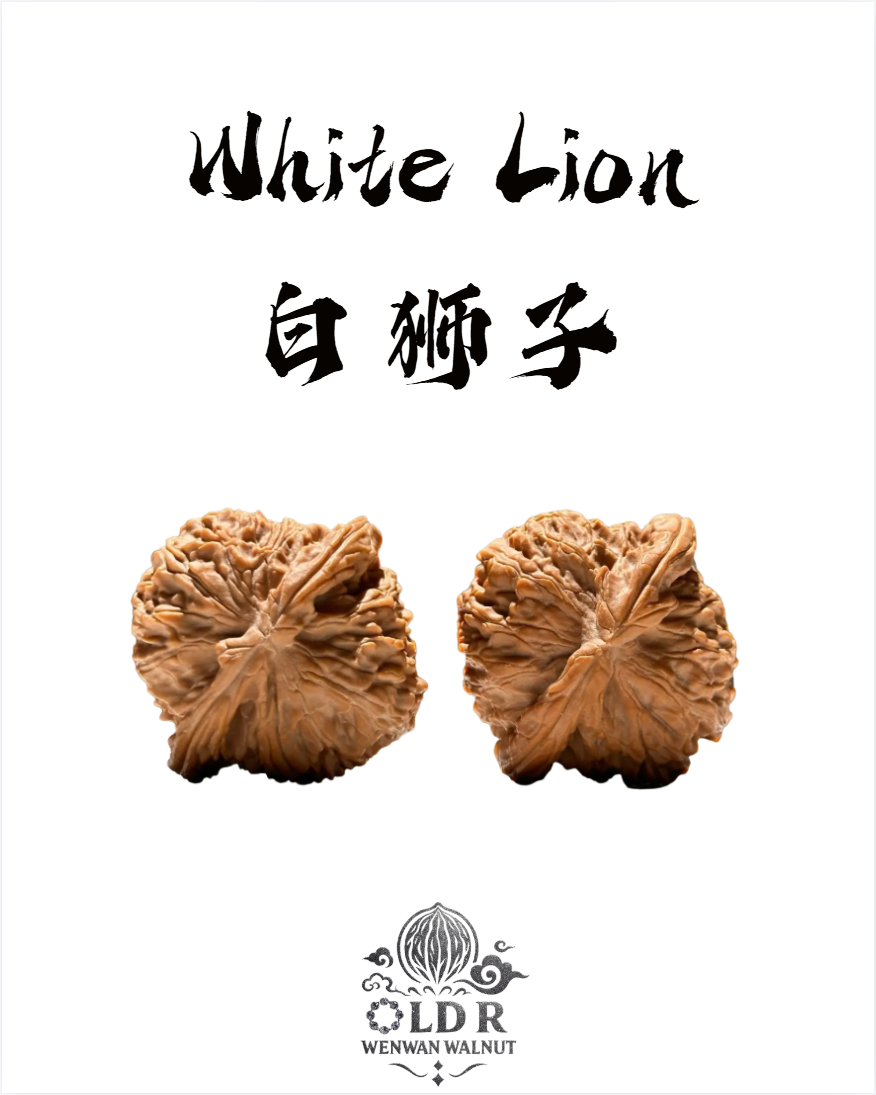 WALNUTVERSE™ #0001 White Lion